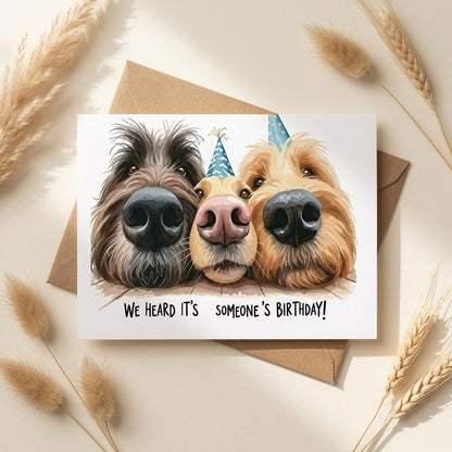 Funny Dog Birthday Card We Heard Its Someones Birthday Blank Inside With Envelope