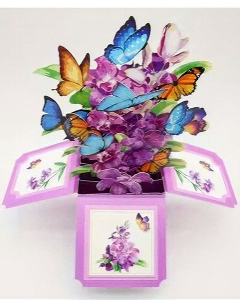 nena-card-orchid-box