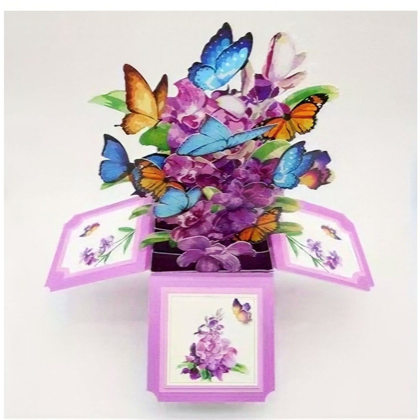 nena-card-orchid-box