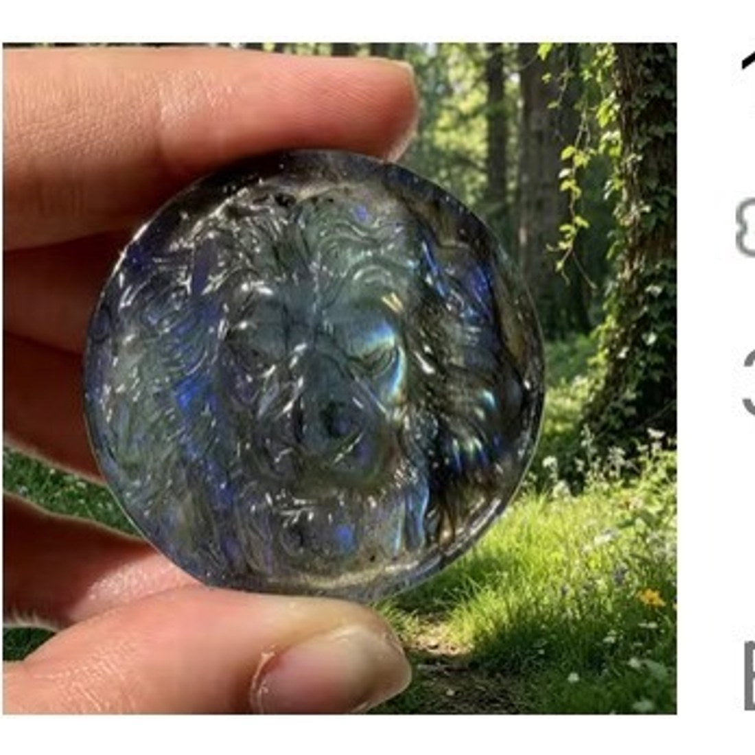 Labradorite Lion Head Disc 3-5cm