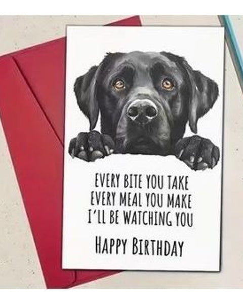 Funny Black Labrador Birthday Card Every Bite You Take Dog Lover Humour