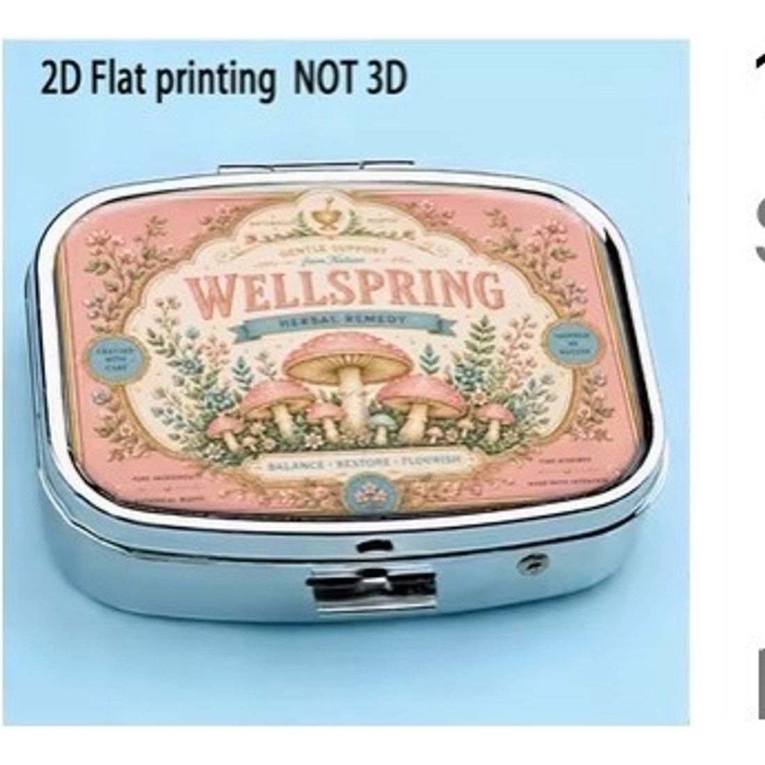 Wellspring Mushroom Square Pill Box