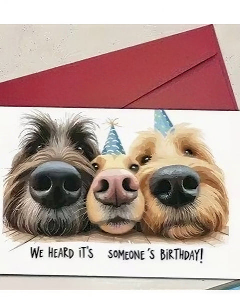 nena-card-dog-trio