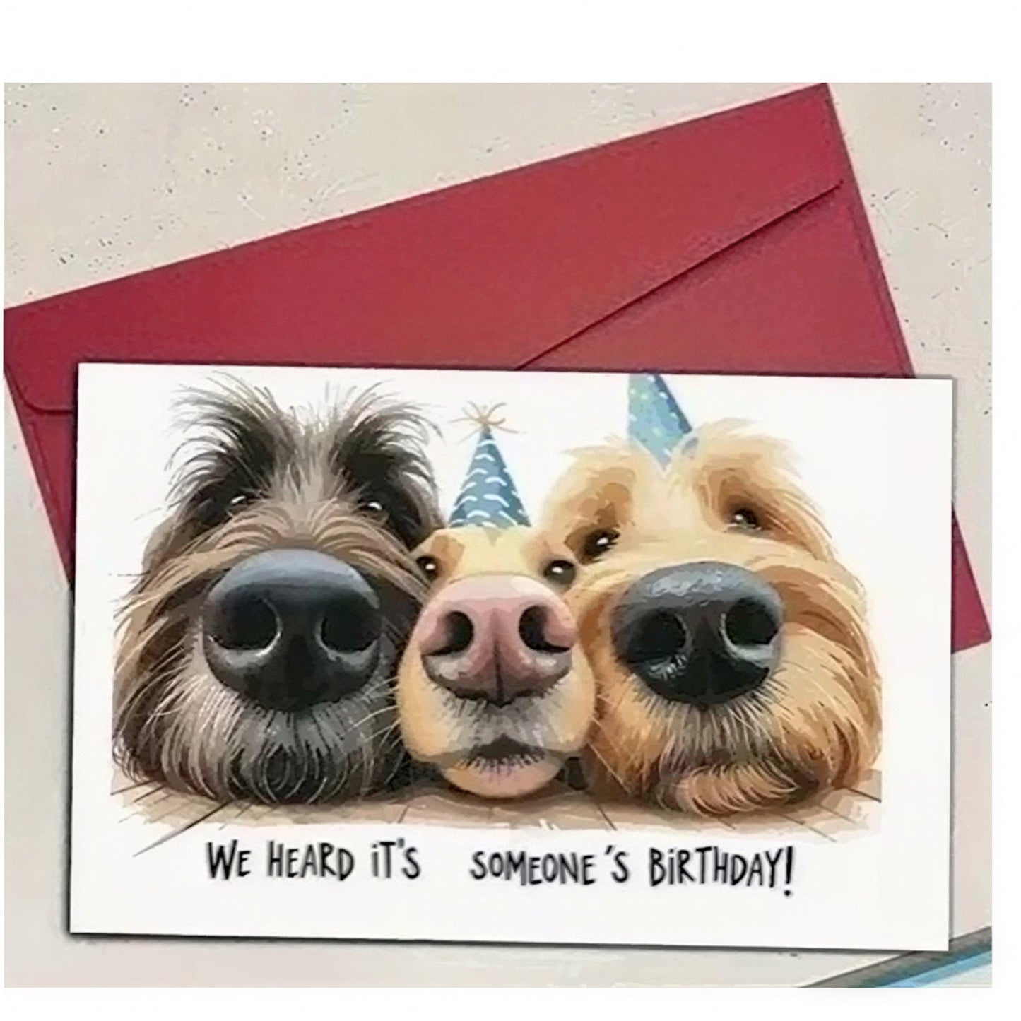 nena-card-dog-trio