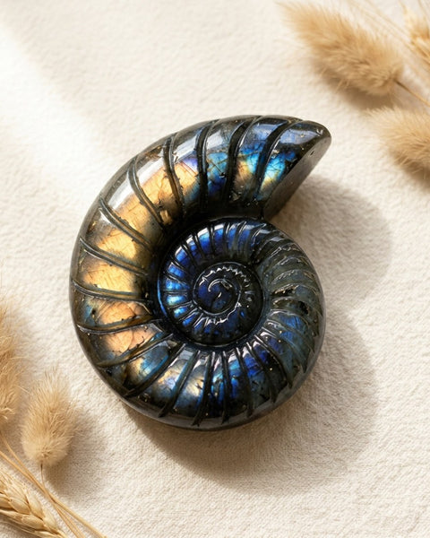 Labradorite Spiral Ammonite Carving