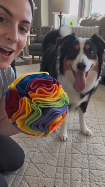 Snuffle ball in use — treat sniffing demo